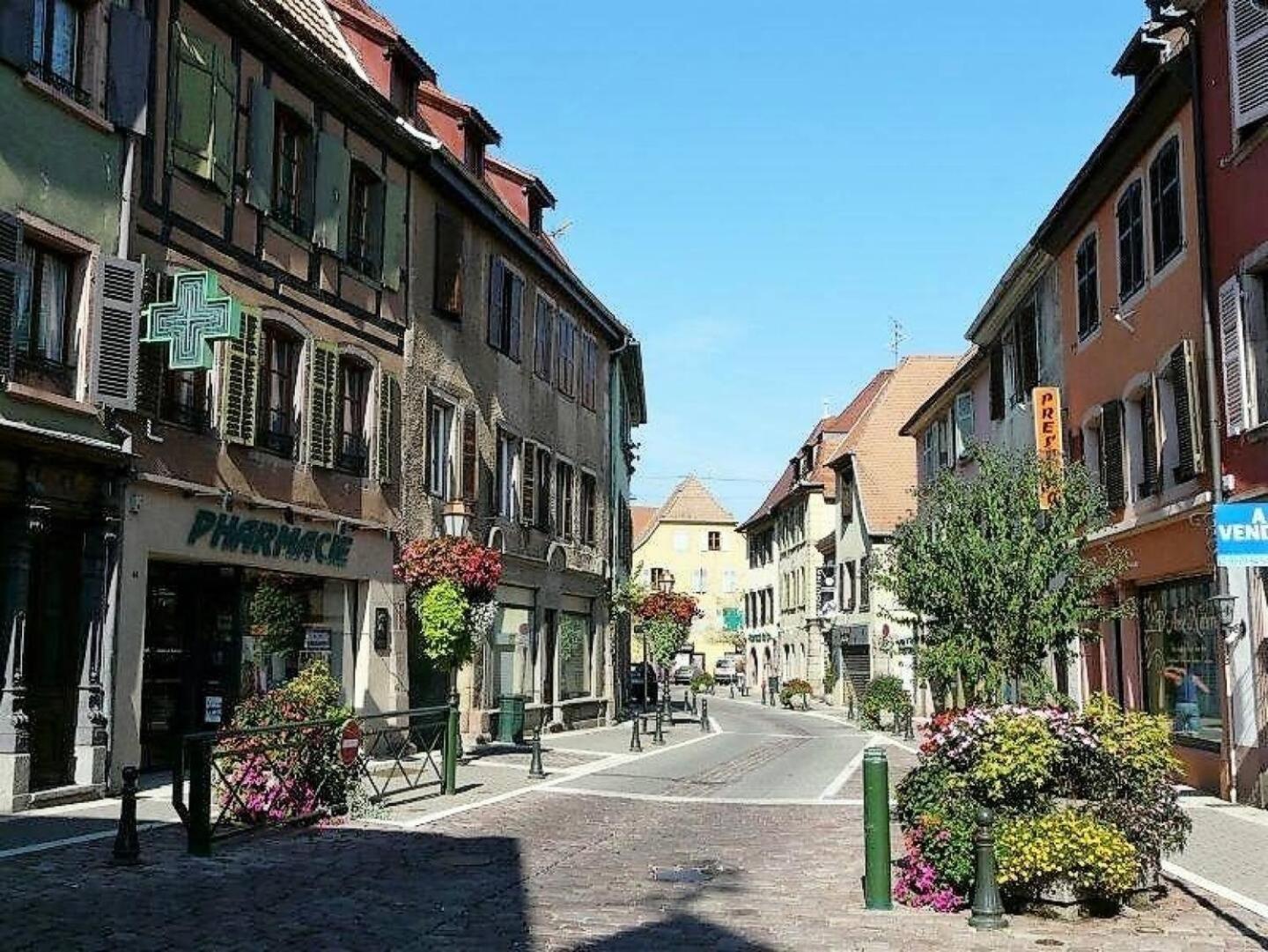 Gite La Clematite Soultz-Haut-Rhin ภายนอก รูปภาพ